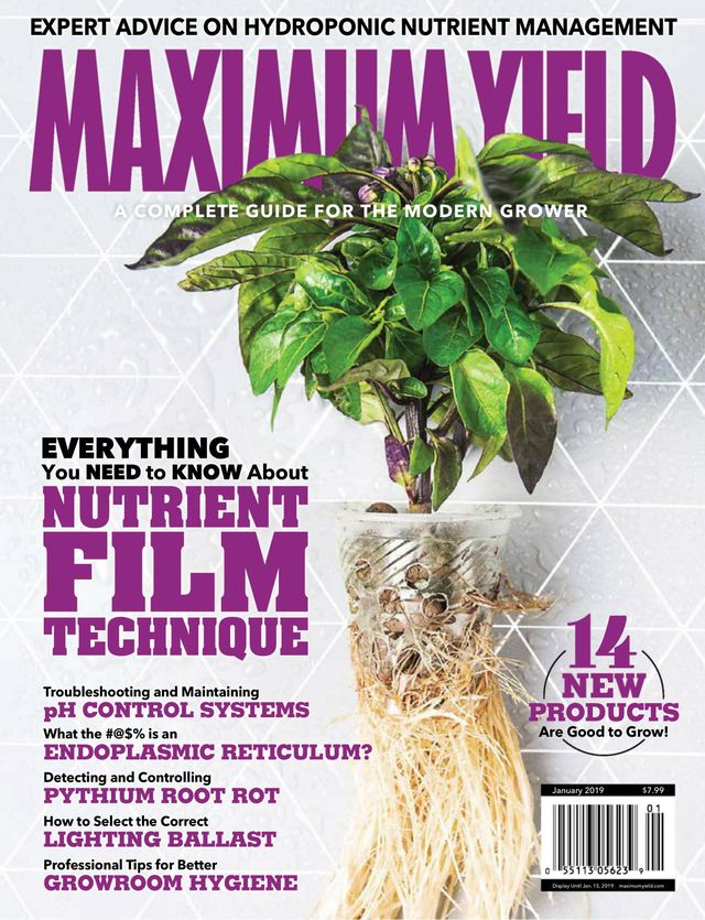 Maximum Yield Modern Growing USA
