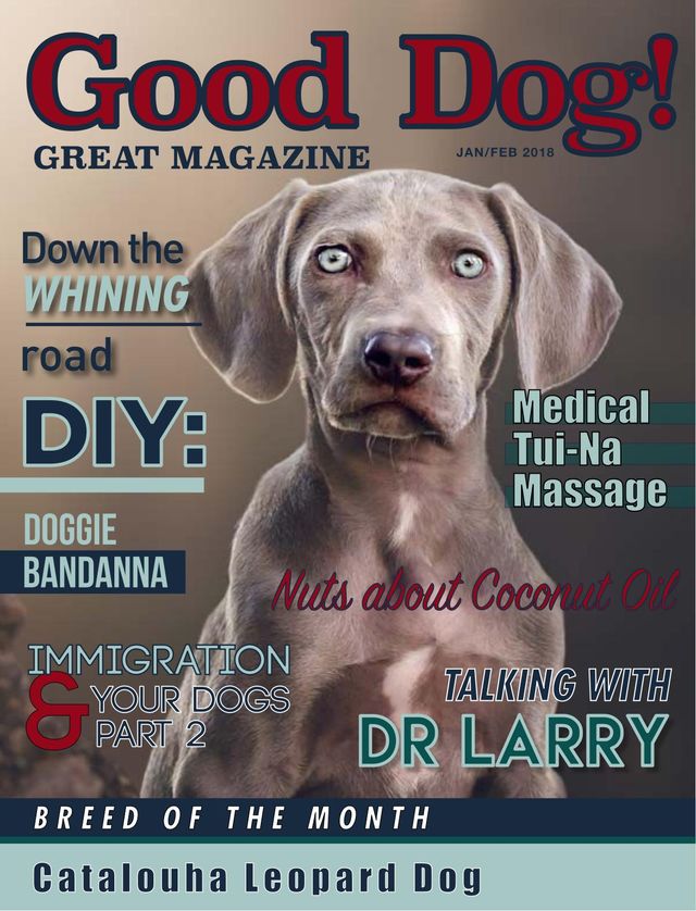 Good Dog