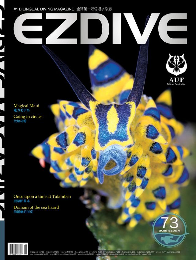 EZDIVE