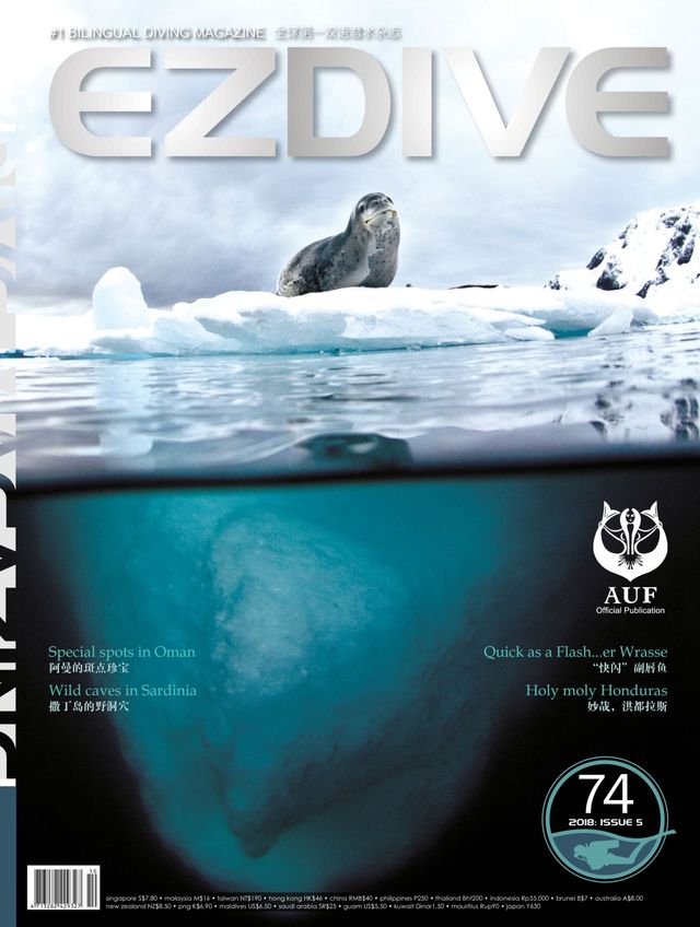 EZDIVE