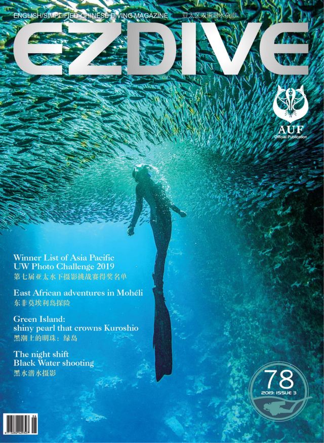EZDIVE