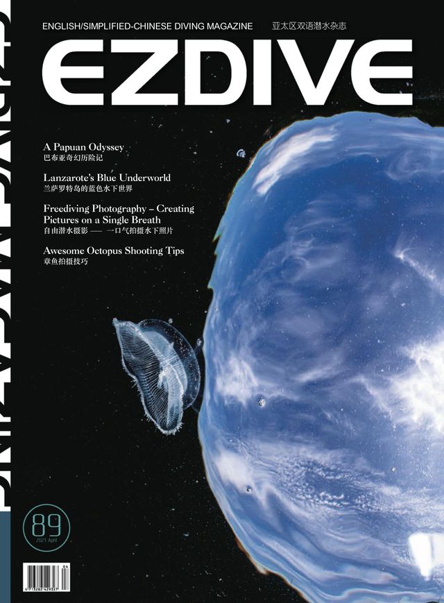 EZDIVE