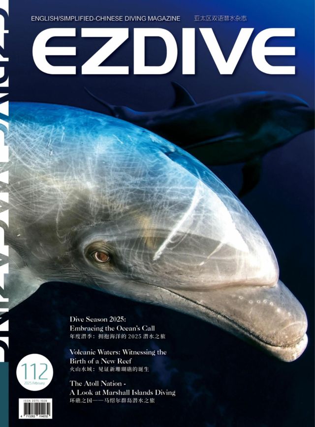 EZDIVE