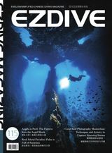 EZDIVE