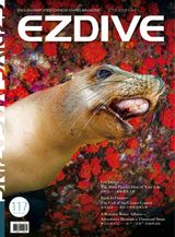 EZDIVE