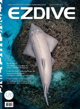 EZDIVE