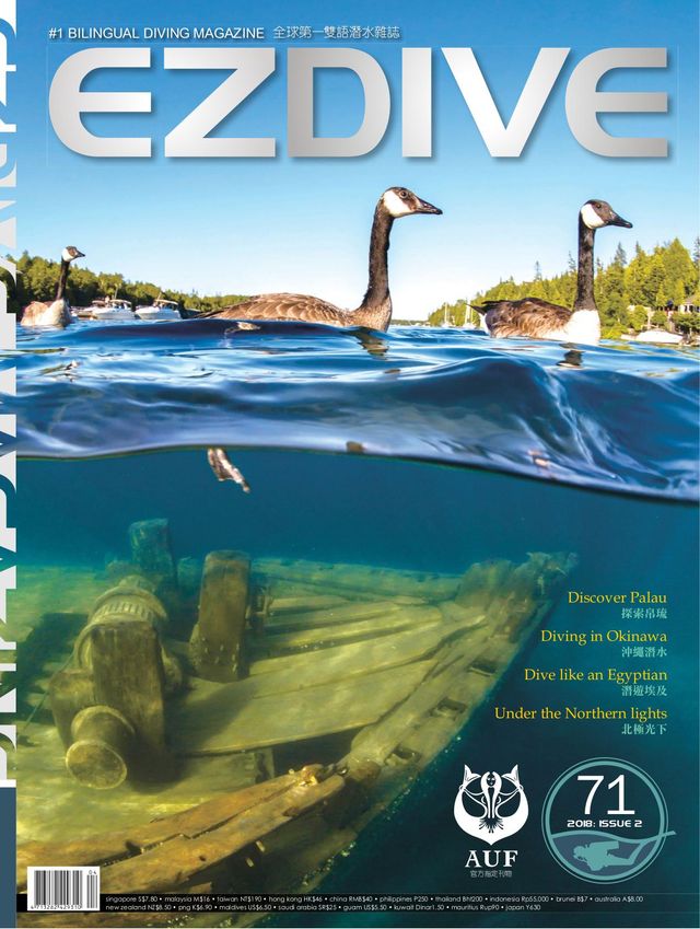 EZDIVE 國際繁體中文版