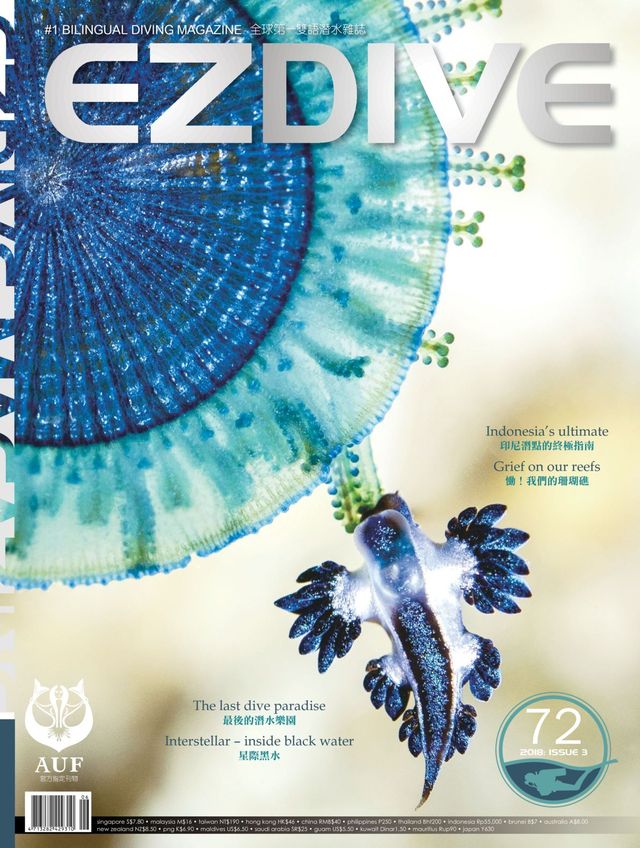 EZDIVE 國際繁體中文版