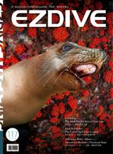 EZDIVE 國際繁體中文版