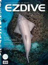 EZDIVE 國際繁體中文版