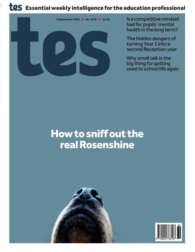 TES