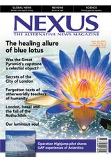 Nexus