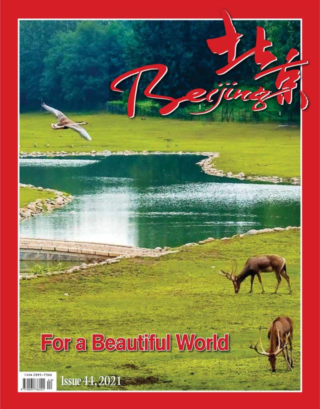 मैगज़्टर गोल्ड के साथ असीमित हो जाओ