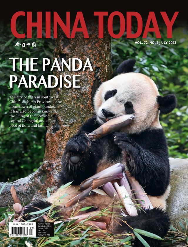China Today (English)