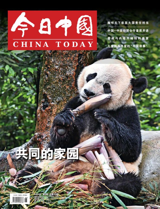 China Today (Chinese)