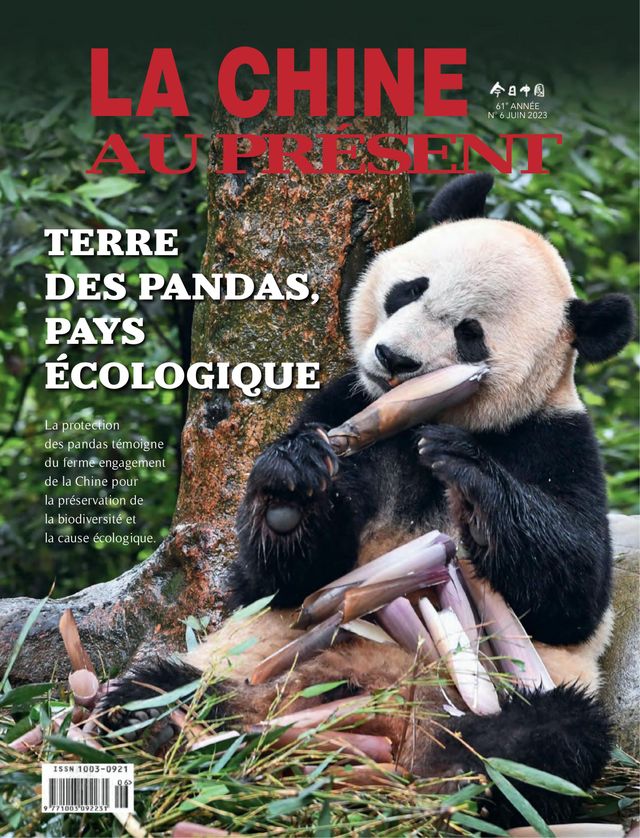 China Today (French)