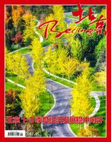 Issue 45 2017