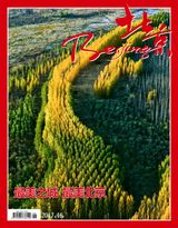 issue 46,2017