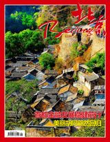 issue 48,2017