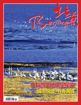 Issue 49,2017