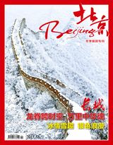 issue 51,2017