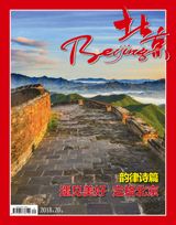 Issue 20,2018