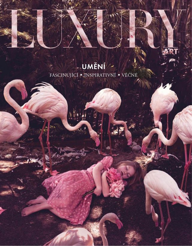Luxury Art