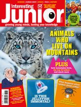 Very Interesting Junior