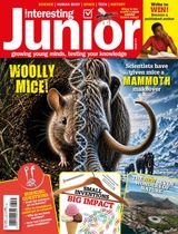 Very Interesting Junior