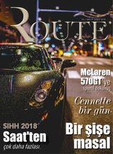 Şubat 2018