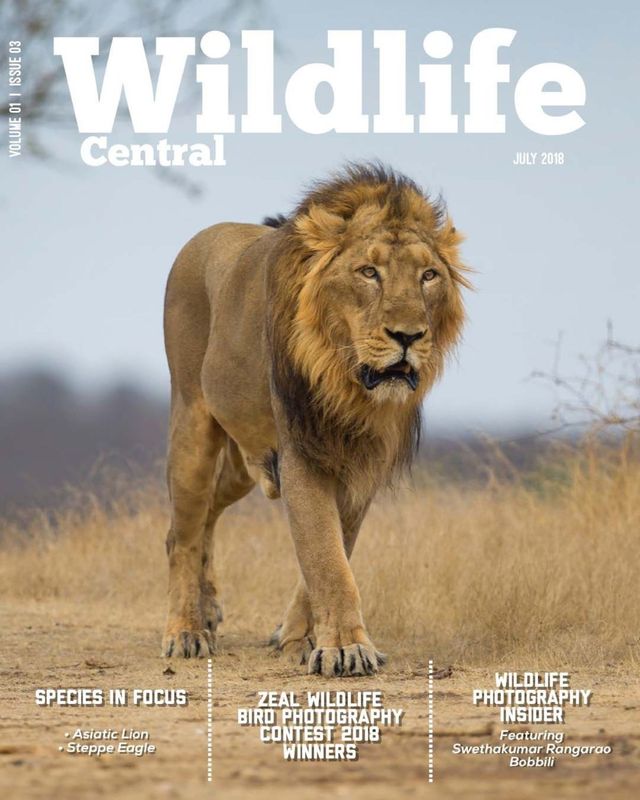 Ga onbeperkt met Magzter GOLD