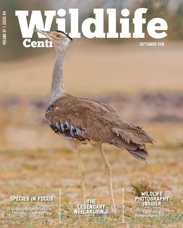 Gå ubegrenset med Magzter GOLD