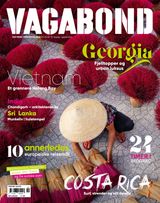 Vagabond