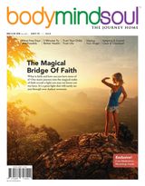 Vol 8 - Bridge of Faith