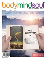 Vol 11 - New Beginnings