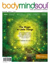 Vol 22 - The Magic In Little Things