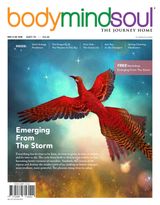 Vol 24 - Emerging From The Storm