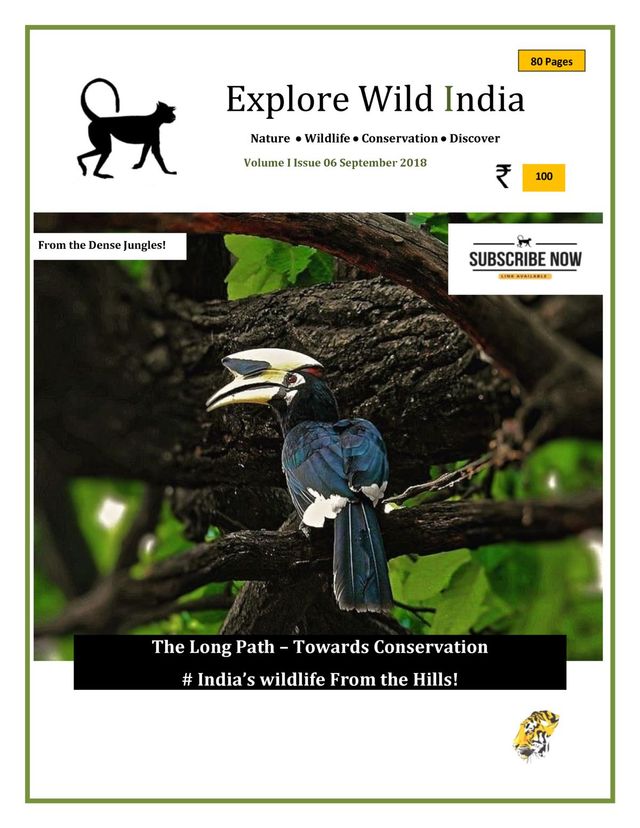 Explore Wild India