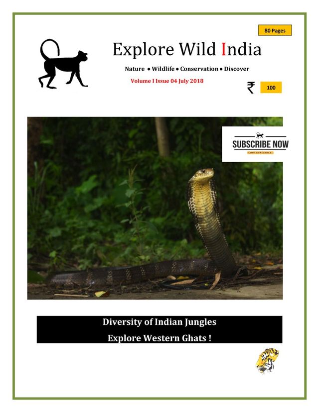 Explore Wild India