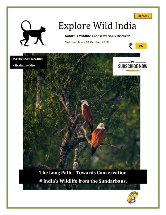 Explore Wild India