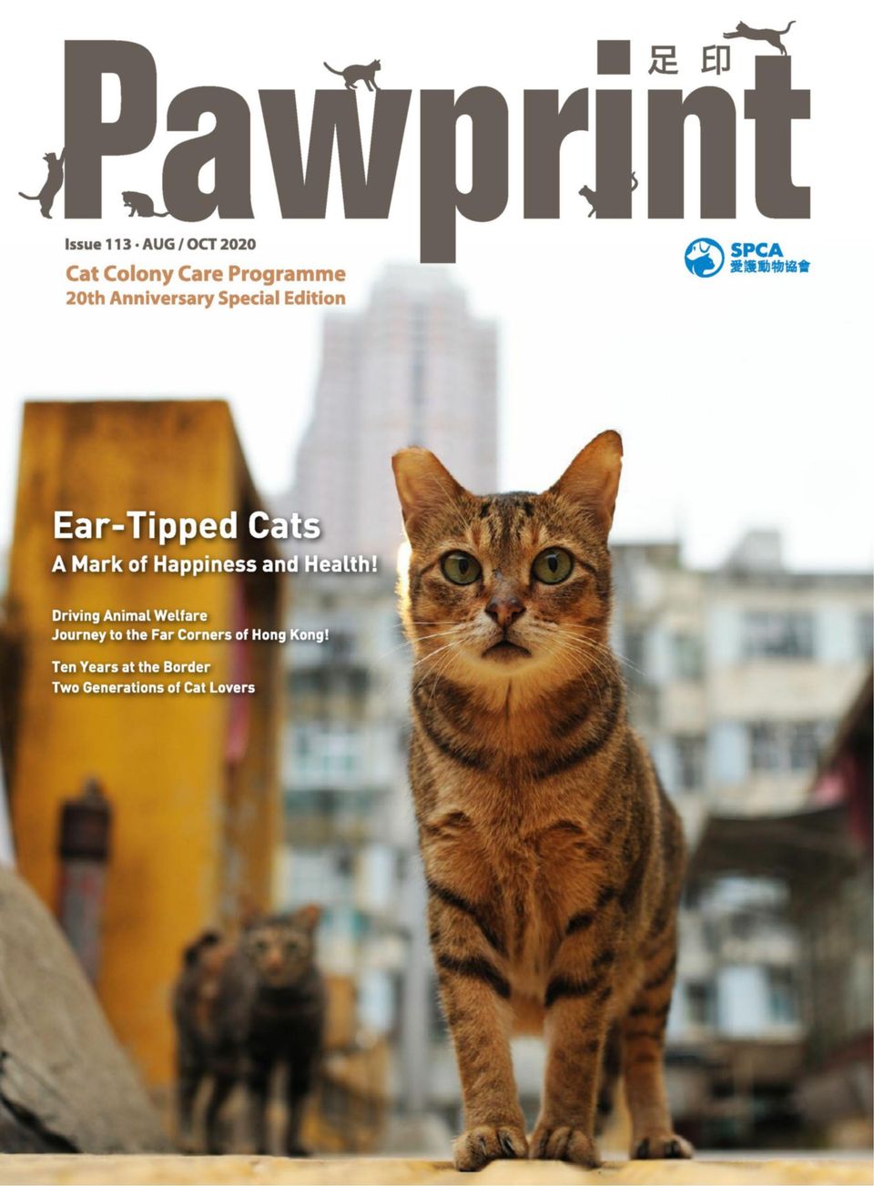 spca hong kong adoption