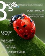 Sayı: 8 Gerçeklik