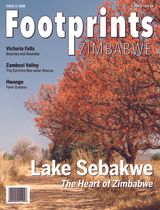 Issue Two:2018