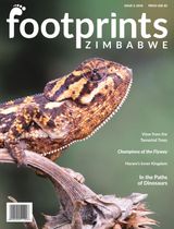 Issue Three 2018