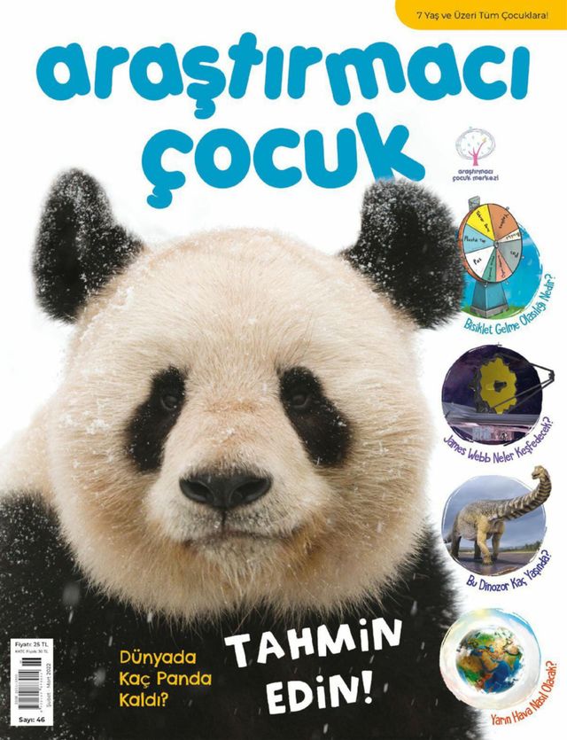 Araştırmacı Çocuk