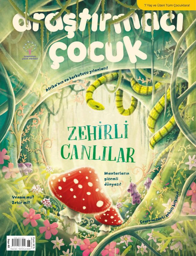 Araştırmacı Çocuk