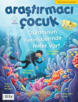 Araştırmacı Çocuk