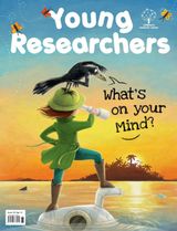 Young Researchers - December 2019 - January 2020 December 2019 - January 2020