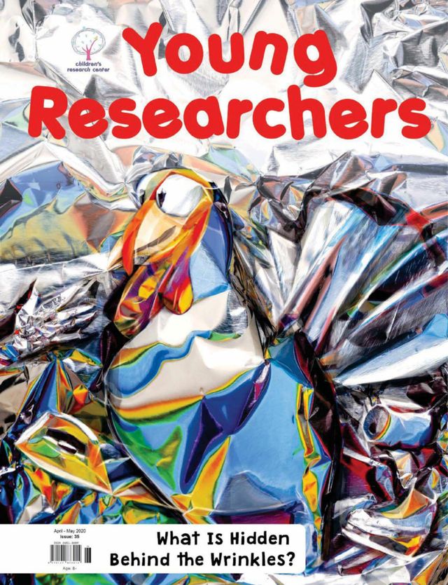 Young Researchers
