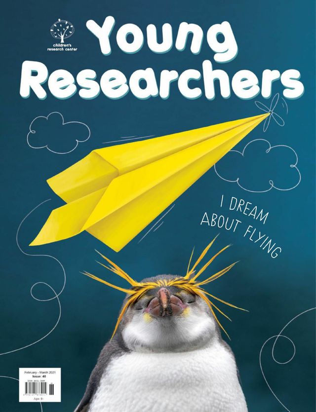 Young Researchers